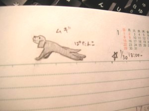 060120.jpg