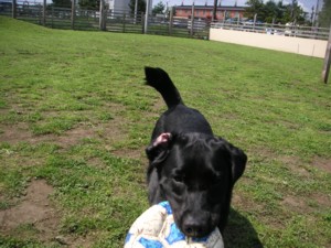 060708-4.jpg