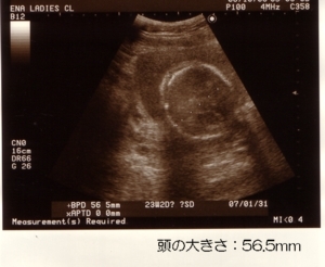 061024-1.jpg