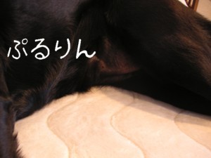 070131-2.jpg