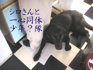 070330.jpg