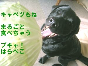 070418-1.jpg