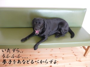 071028-4.jpg