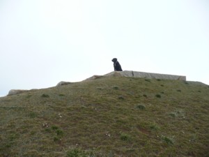 071201-3.jpg