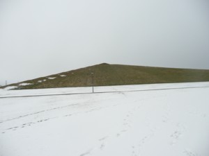 071201-4.jpg