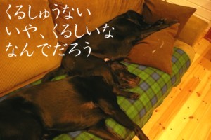 081102.jpg